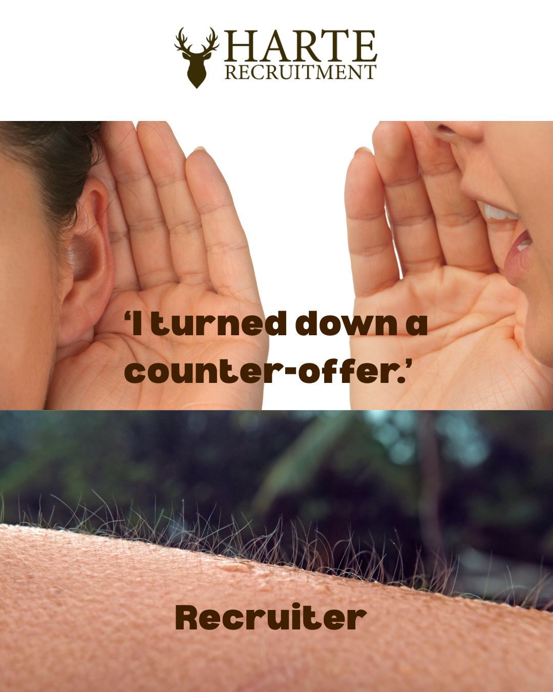 fake newspaper article image with Suzie Harte