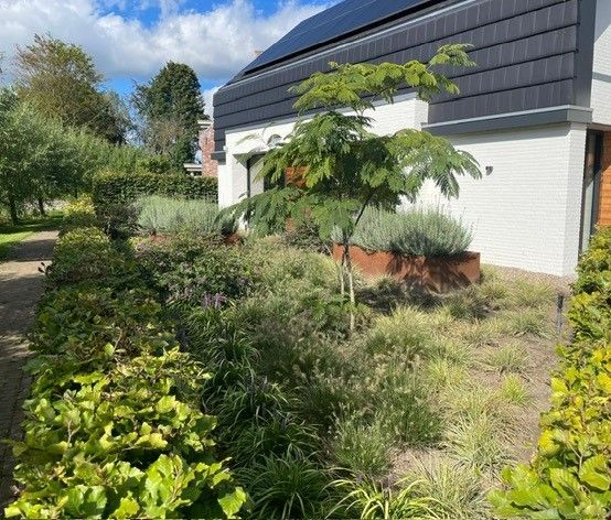 Een huis met veel planten ervoor