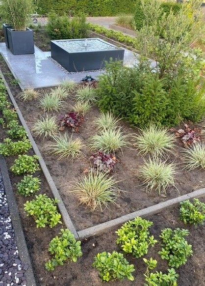 Een tuin met veel planten en een fontein in het midden.