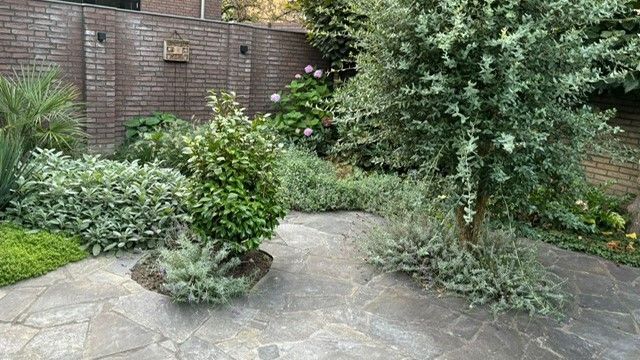 Een stenen pad omgeven door bomen en struiken in een tuin.
