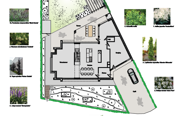 Een plattegrond van een huis met foto's van planten