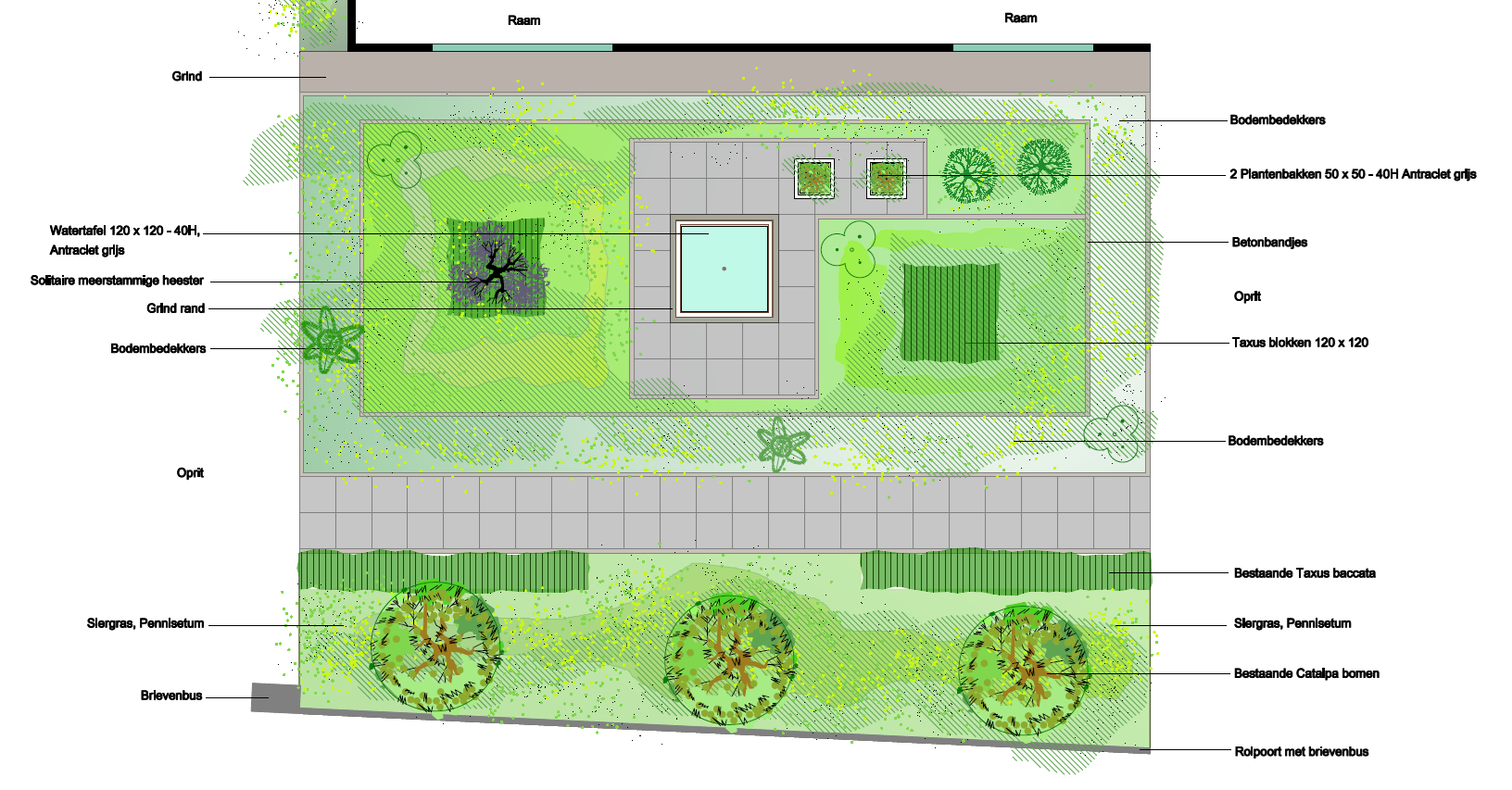 Een tekening van een tuin met bomen en een zwembad