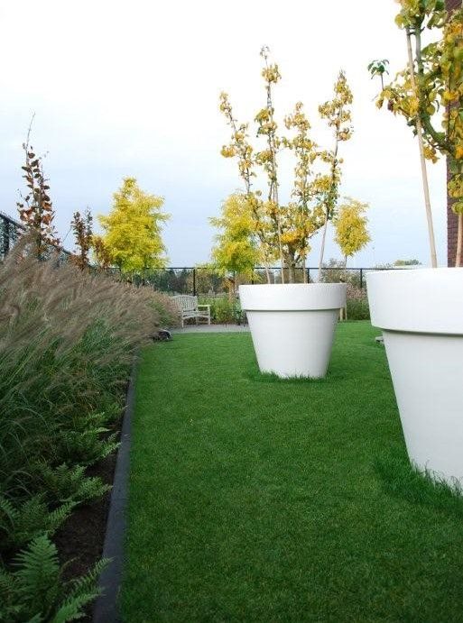 Een rij witte potplanten op een weelderig groen gazon