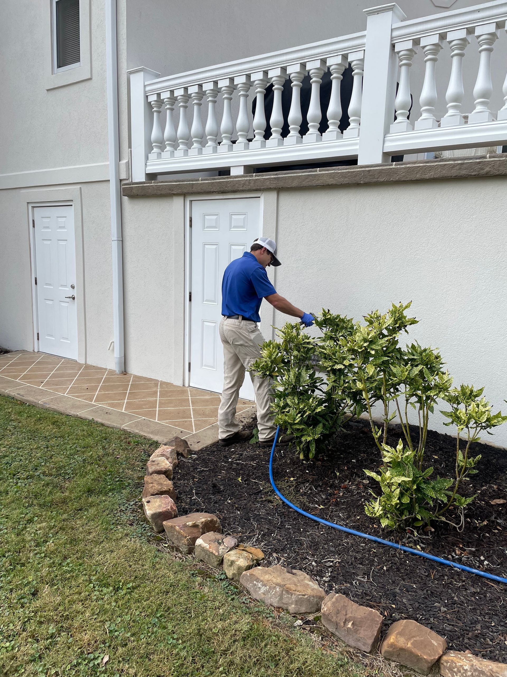 A man is standing in front of a house cutting a bush with a hose.