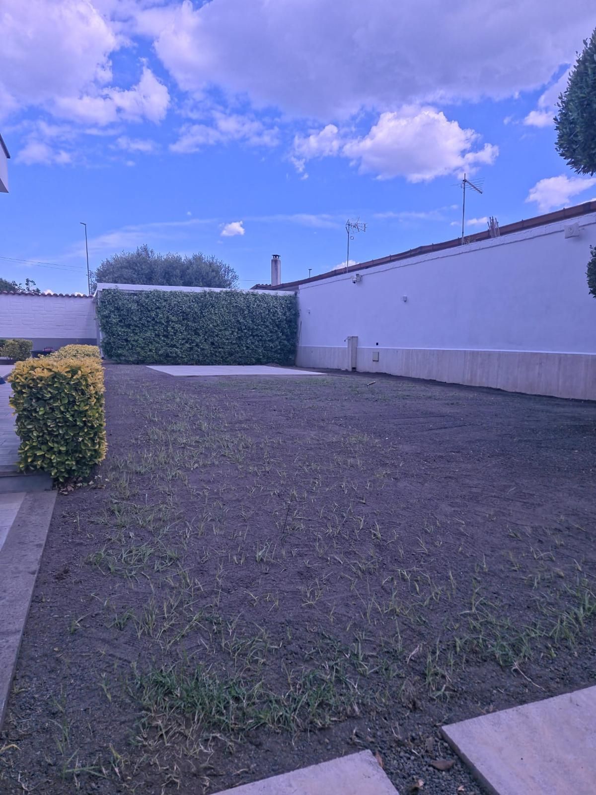 Un cortile con erba verde, una siepe e un muro bianco, sotto un cielo parzialmente nuvoloso.