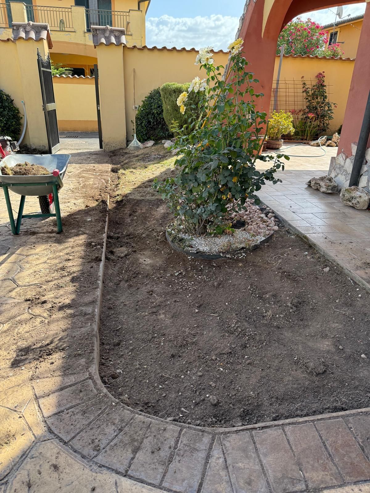 In un cortile c'è un'aiuola con un cespuglio di rose, circondata da una bordura di mattoni.