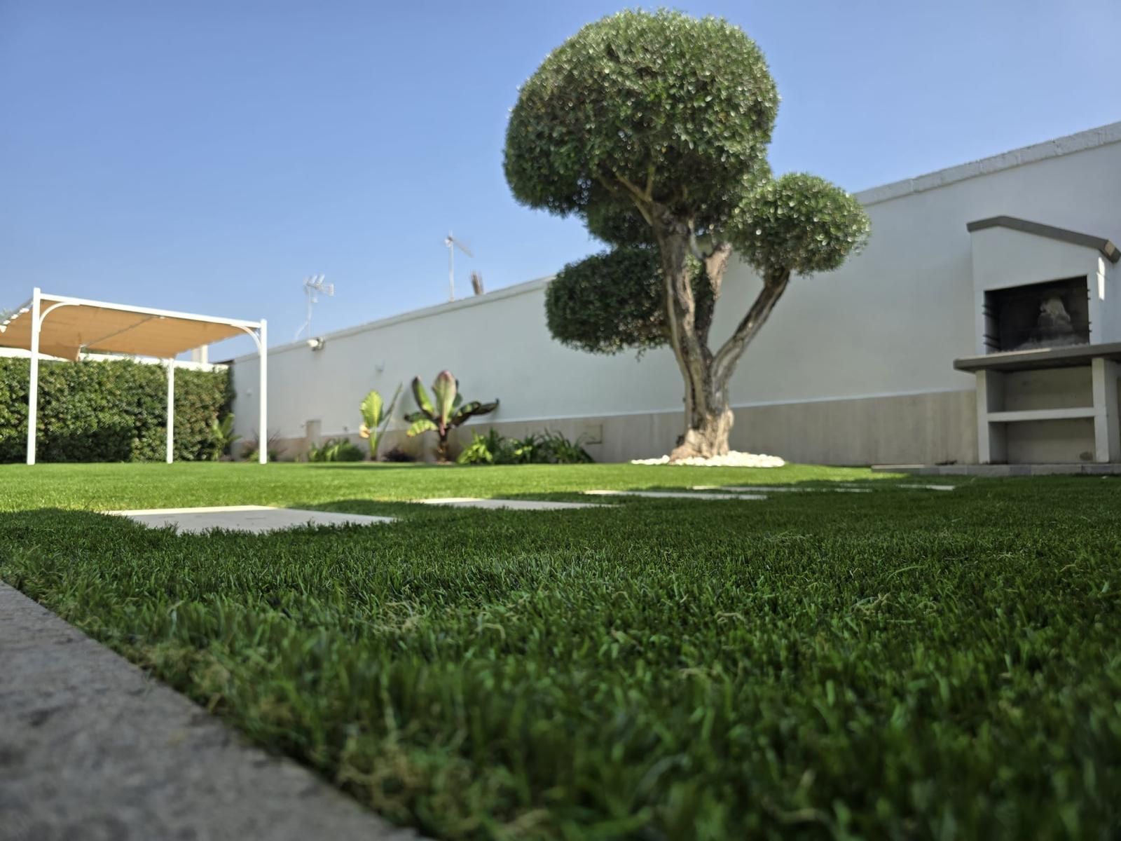 Lussureggiante giardino verde con erba sintetica, alberi curati, barbecue e muri bianchi sotto un cielo azzurro.