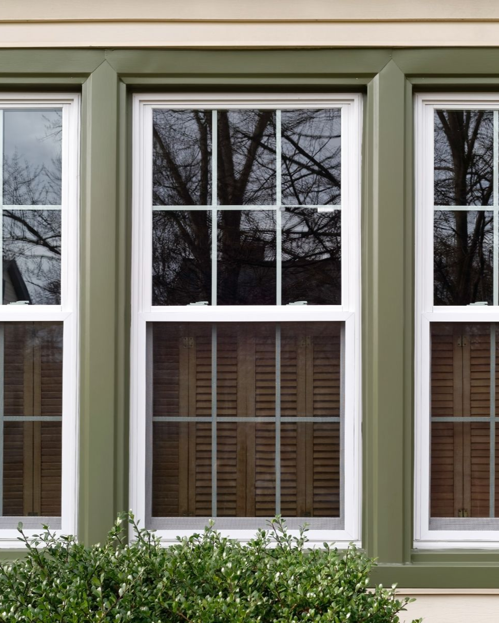 Three white-framed windows with green trim; a bush in the foreground; tree reflections.