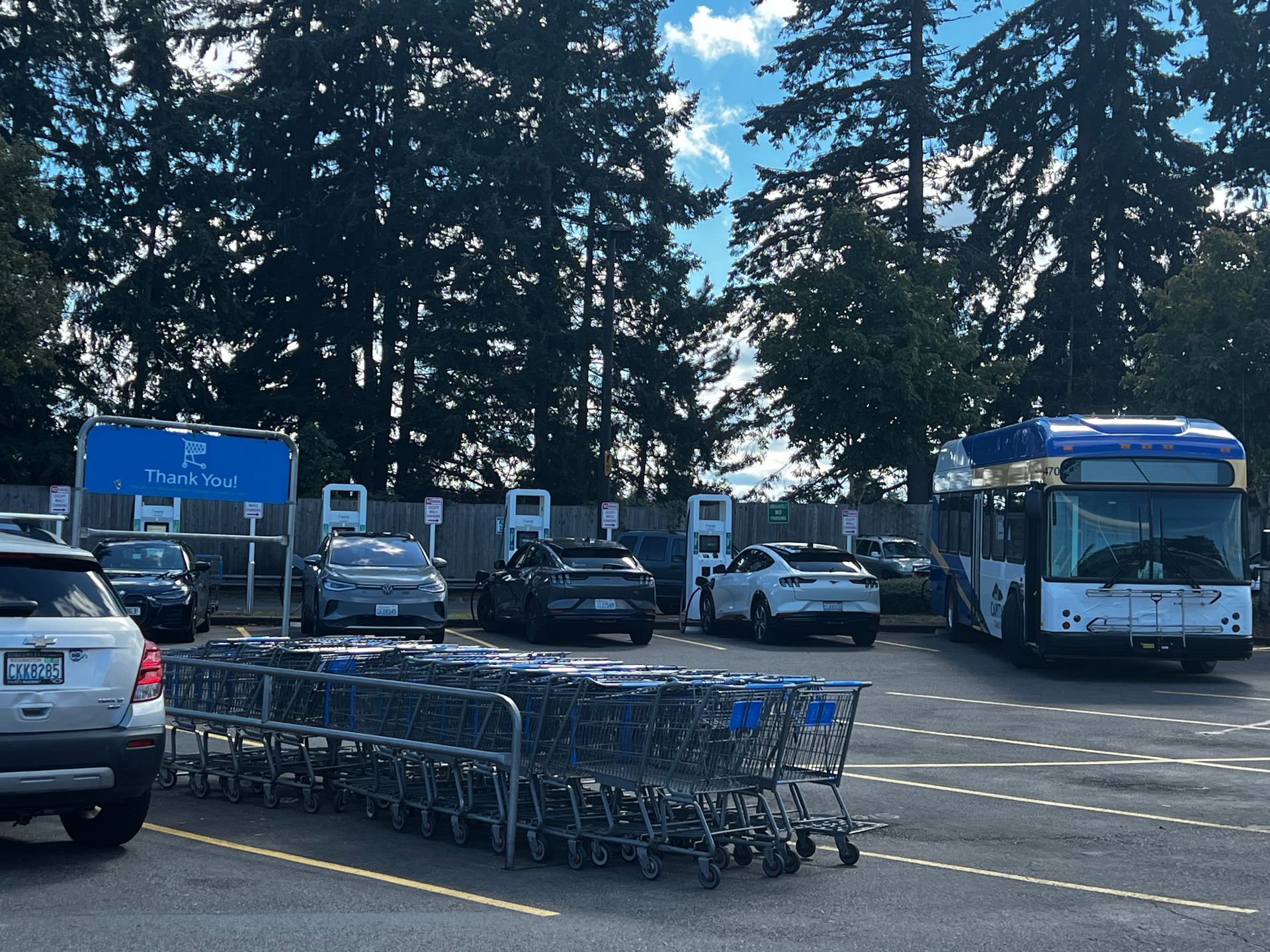 A lot of shopping carts are lined up in a parking lot