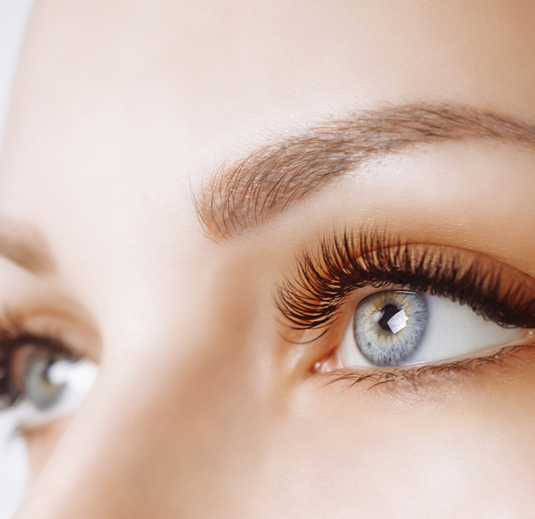 Close-up of human eyes with long, dark eyelashes and groomed, light-brown eyebrows.
