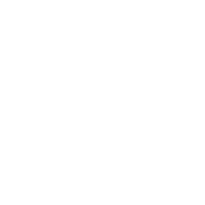 Documents icon