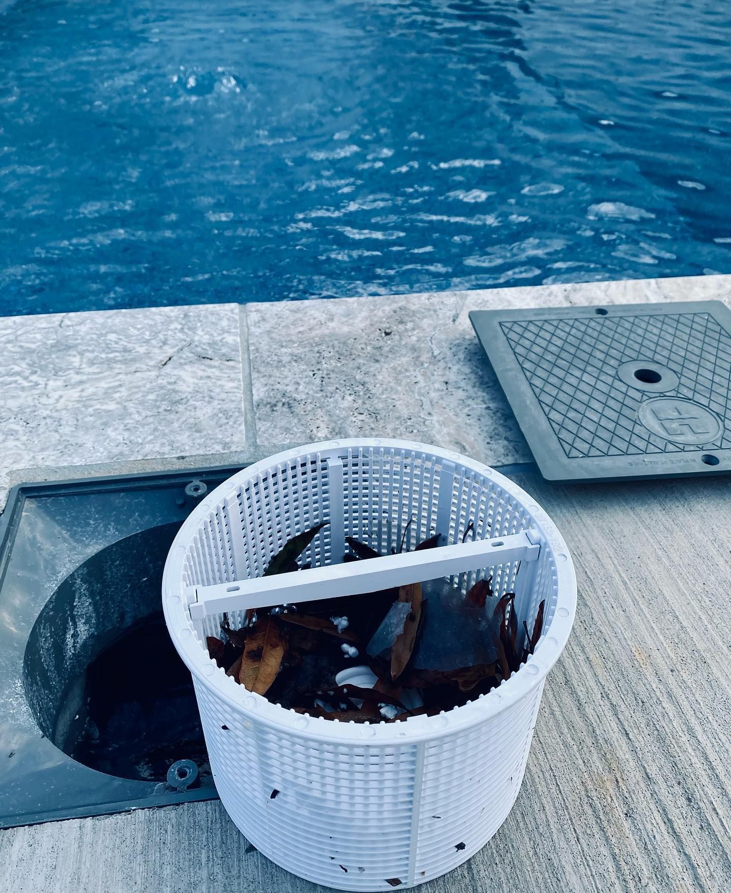 A white pool skimmer basket filled with leaves next to a pool, on a concrete surface.