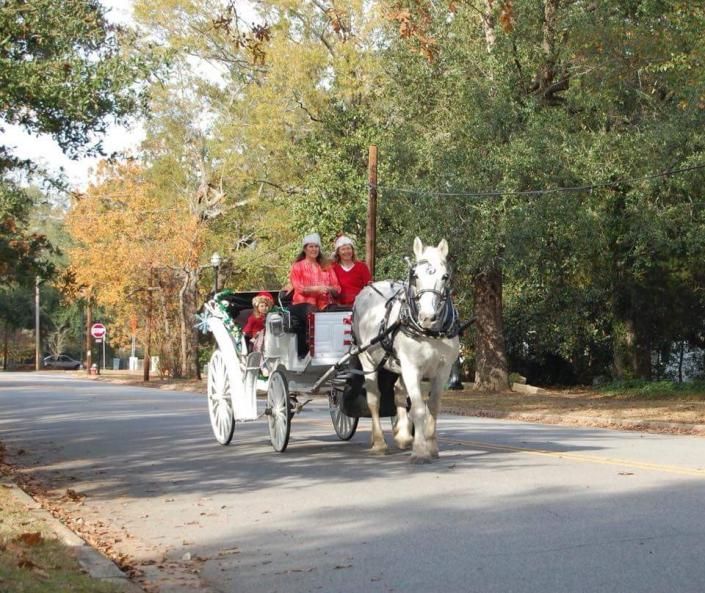 White horse-drawn carriage with two riders on a tree-lined road in autumn