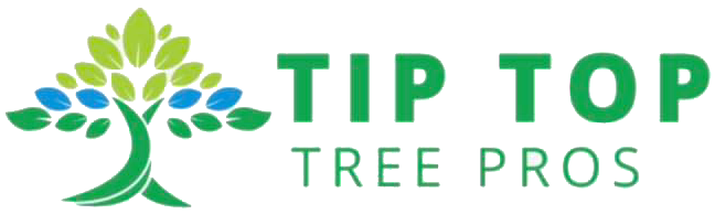 Tip Top Tree Pros | Tree Service in Wheaton, IL