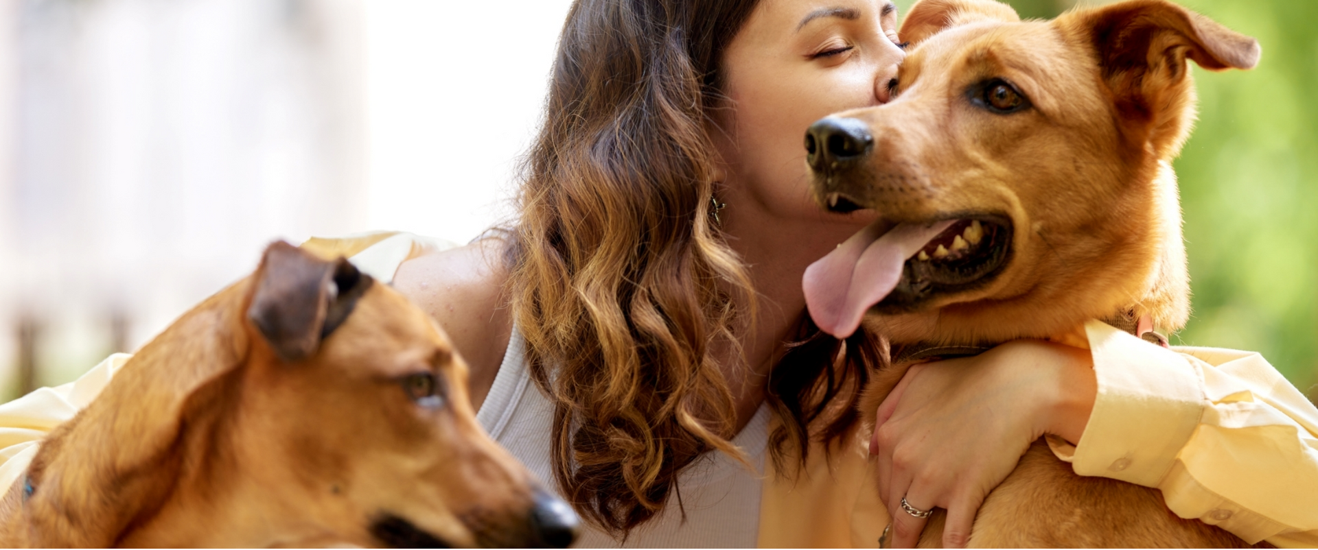A woman is kissing a dog on the nose while holding two dogs.