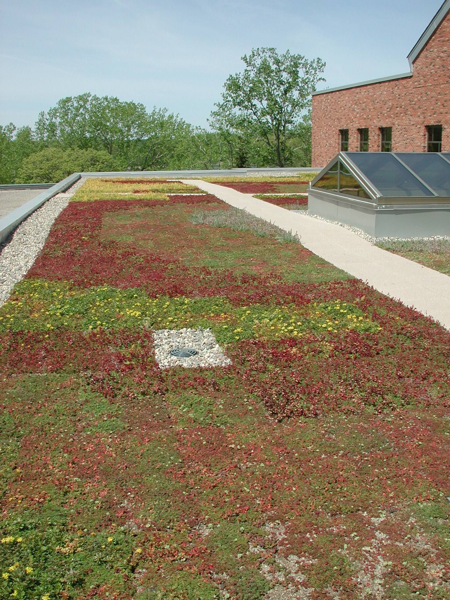 Bethel University 2 - Minneapolis, MN - Berwald Roofing