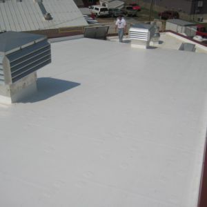 AFL-CIO House of Labor 6 - Minneapolis, MN - Berwald Roofing