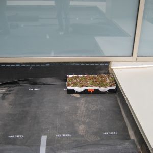St. Joseph’s Hospital 11 - Minneapolis, MN - Berwald Roofing