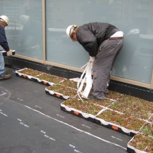 St. Joseph’s Hospital 15 - Minneapolis, MN - Berwald Roofing