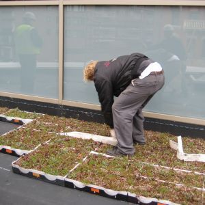 St. Joseph’s Hospital 16 - Minneapolis, MN - Berwald Roofing