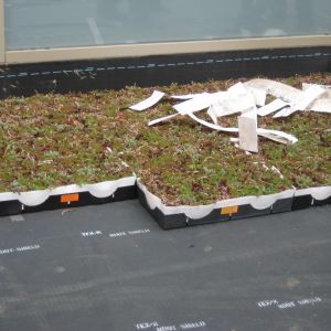 St. Joseph’s Hospital 18 - Minneapolis, MN - Berwald Roofing