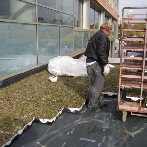 St. Joseph’s Hospital 20 - Minneapolis, MN - Berwald Roofing