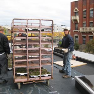 St. Joseph’s Hospital 21 - Minneapolis, MN - Berwald Roofing