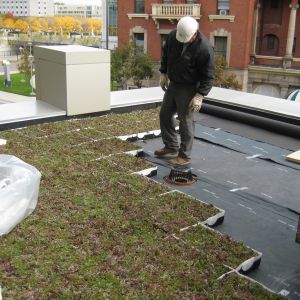 St. Joseph’s Hospital 22 - Minneapolis, MN - Berwald Roofing