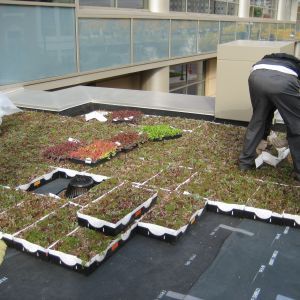 St. Joseph’s Hospital 26 - Minneapolis, MN - Berwald Roofing