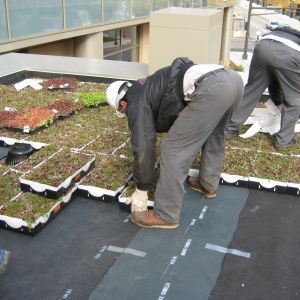St. Joseph’s Hospital 27 - Minneapolis, MN - Berwald Roofing