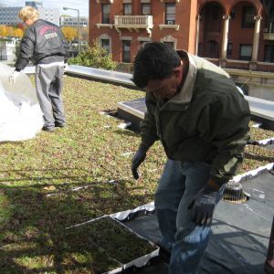 St. Joseph’s Hospital 36 - Minneapolis, MN - Berwald Roofing
