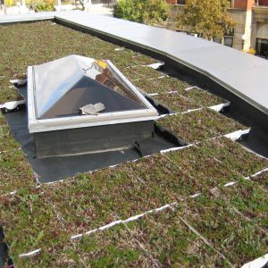 St. Joseph’s Hospital 38 - Minneapolis, MN - Berwald Roofing