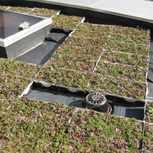 St. Joseph’s Hospital 39 - Minneapolis, MN - Berwald Roofing