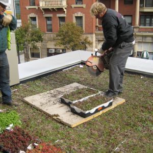St. Joseph’s Hospital 41 - Minneapolis, MN - Berwald Roofing