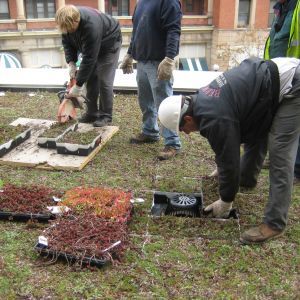 St. Joseph’s Hospital 43 - Minneapolis, MN - Berwald Roofing