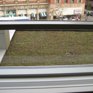 St. Joseph’s Hospital 49 - Minneapolis, MN - Berwald Roofing