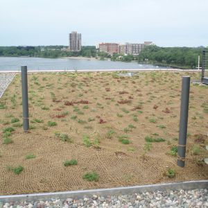 The Edgewater 2 - Minneapolis, MN - Berwald Roofing