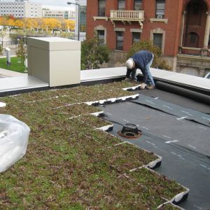 St. Joseph’s Hospital 23 - Minneapolis, MN - Berwald Roofing
