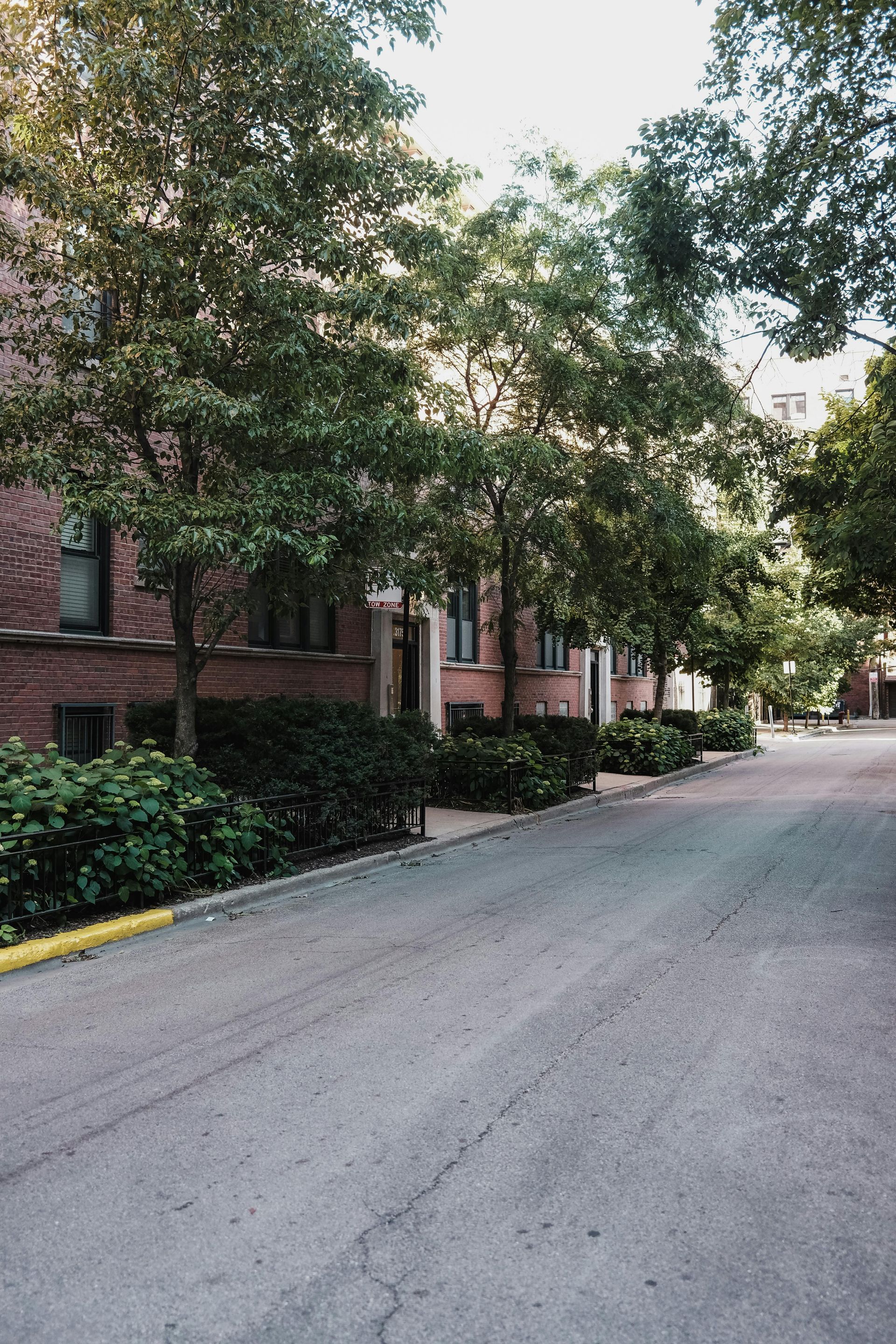 Chicago Skyline photo and link to What We Do page