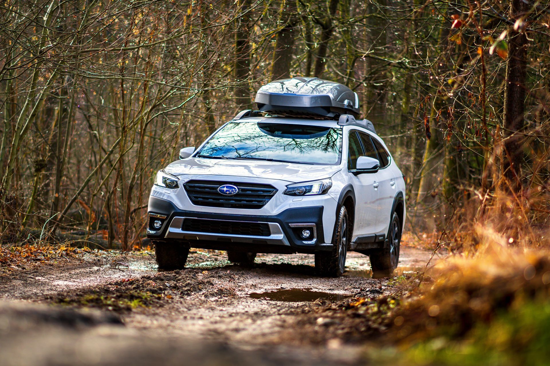 White Subaru Outback driving on a muddy forest trail with a cargo box on its roof.