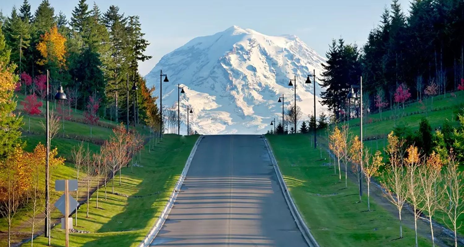 Road leading uphill towards a snow-covered mountain, lined with trees and lampposts, green lawns.