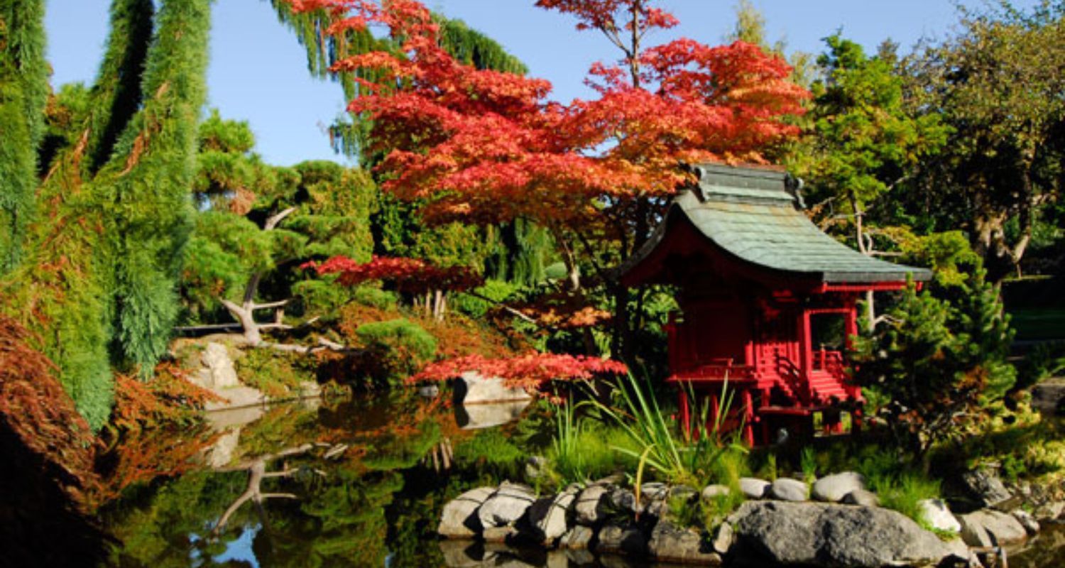 Japanese garden with red pagoda, fall foliage, and pond.