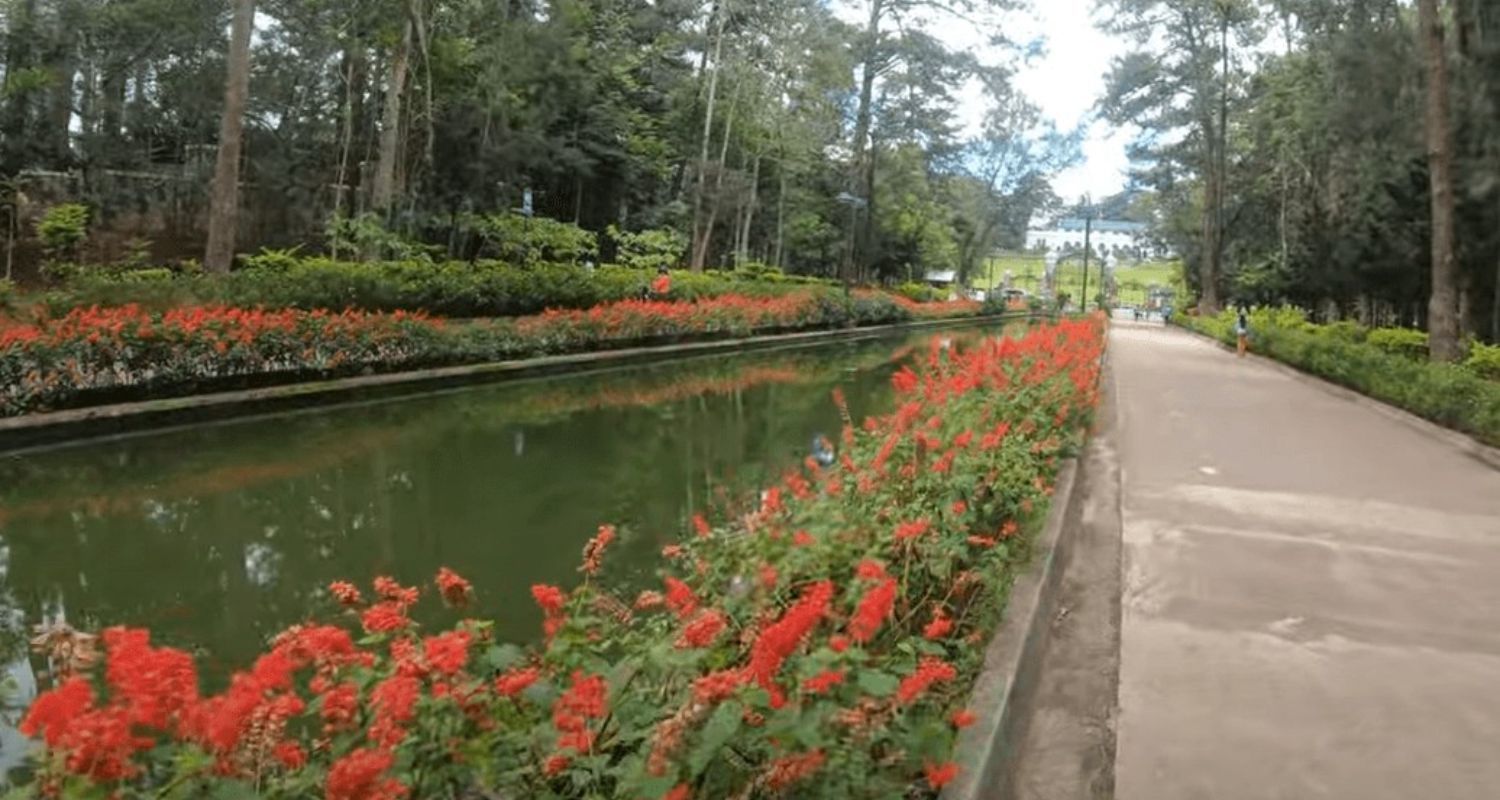 A pathway beside a calm body of water lined with red flowers in a park. Trees are in the background.