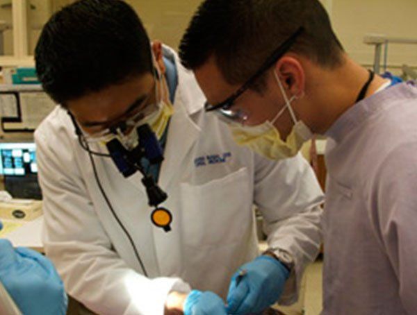A dentist and a nurse are working on a patient 's teeth