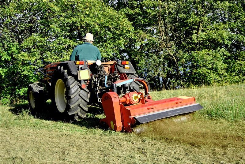 A person on a red tractor mowing a grassy field near trees on a sunny day.
