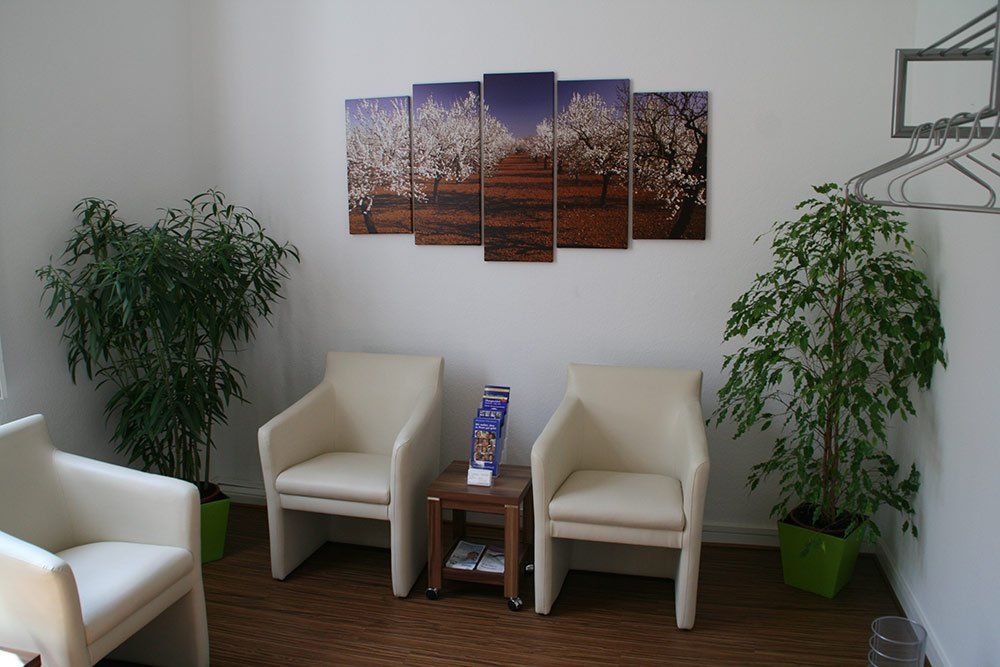 Ein Wartezimmer mit zwei Stühlen und einer Pflanze