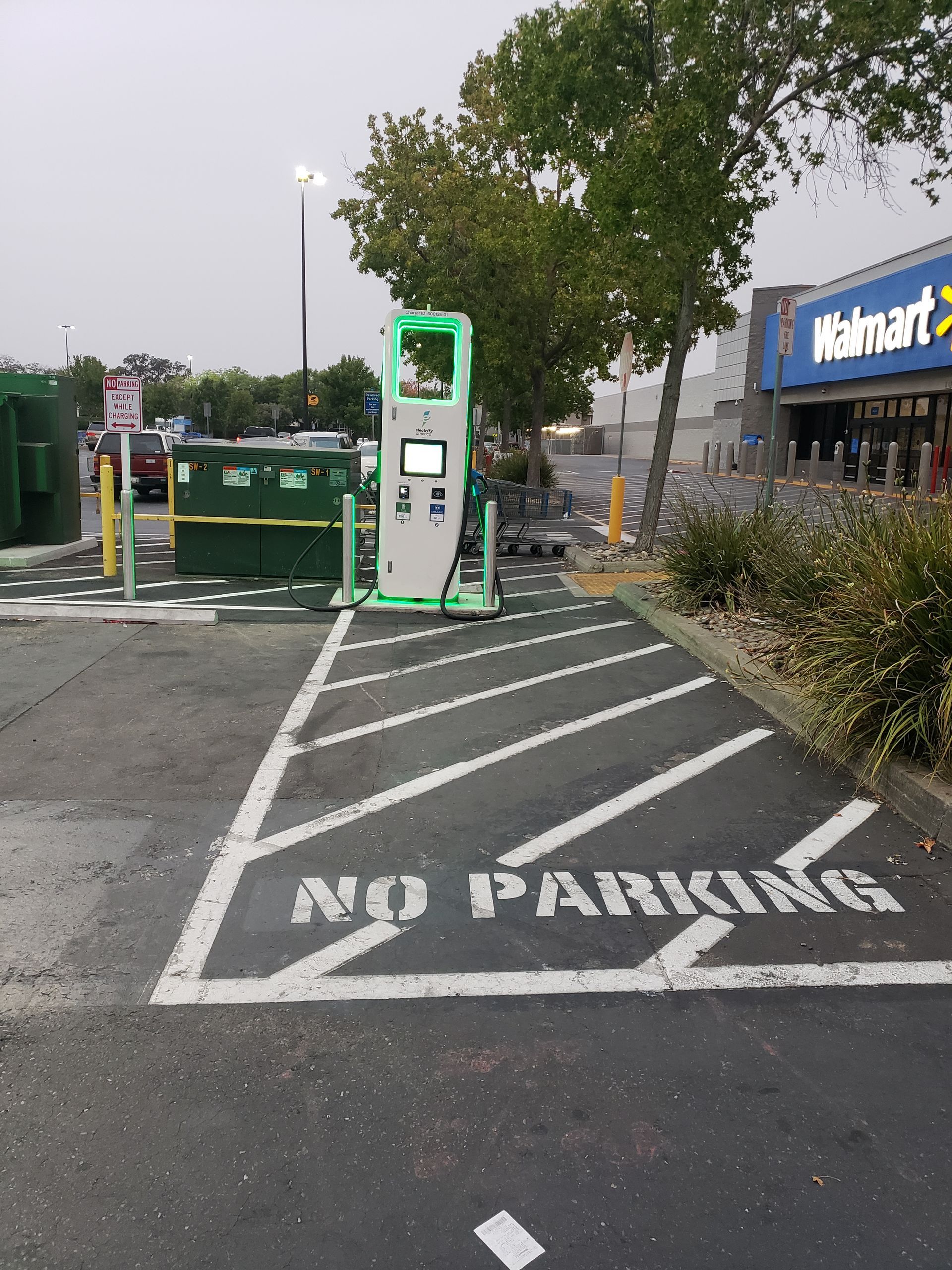 Parking lot electric vehicle charging station with a tree and painted no-parking zone.