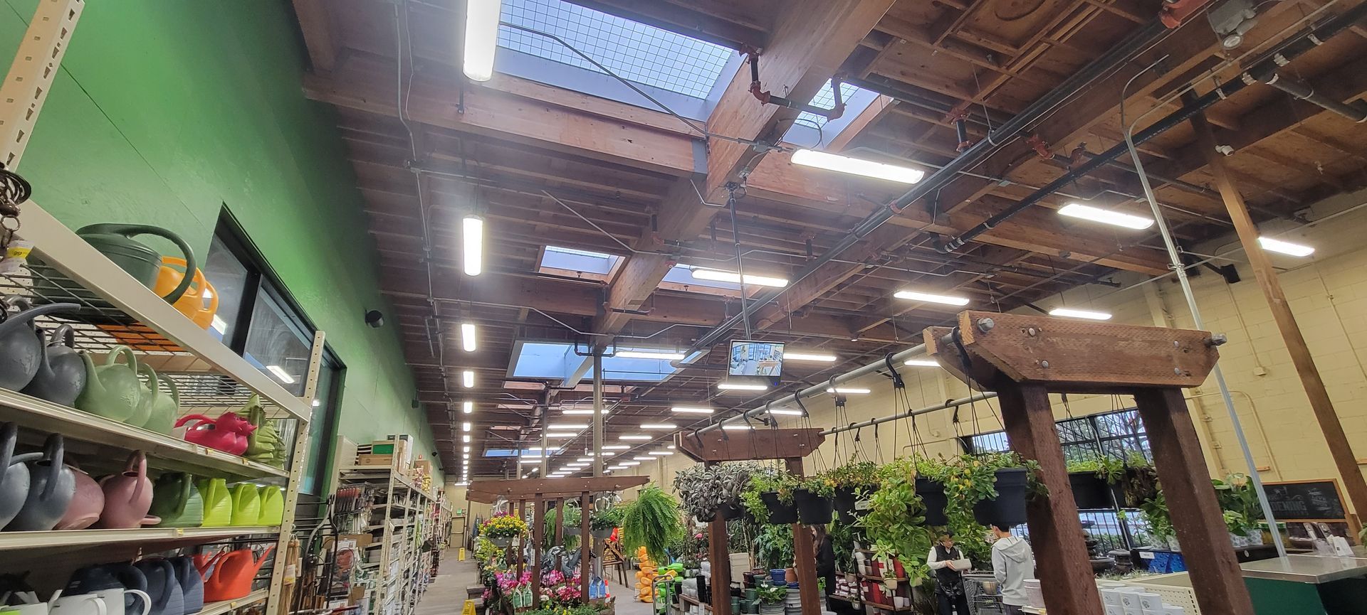 Indoor market with plants, shelves, and wooden beams under bright skylights