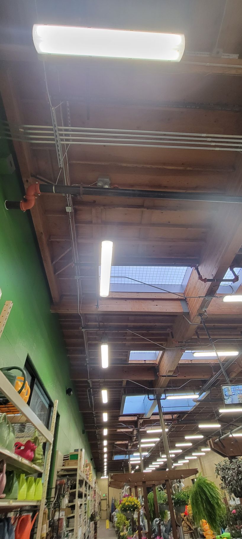 A store aisle with high ceilings, bright lights, shelves, and hanging plants.