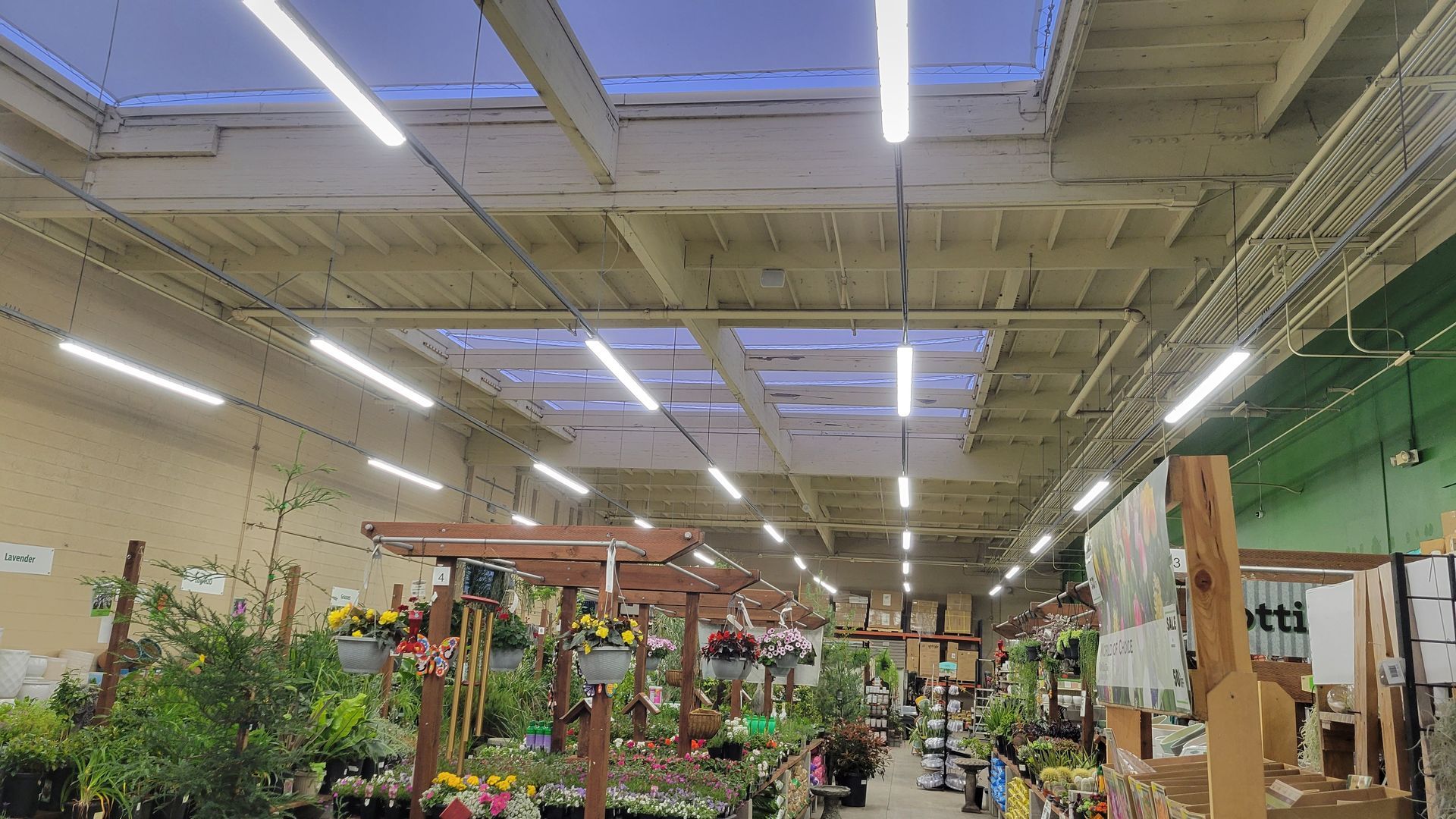 Indoor garden center with rows of plants, wooden displays, and bright ceiling lights